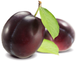 Puuviljapuude pakkumine